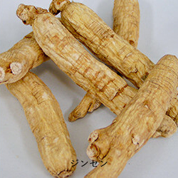 Ginseng