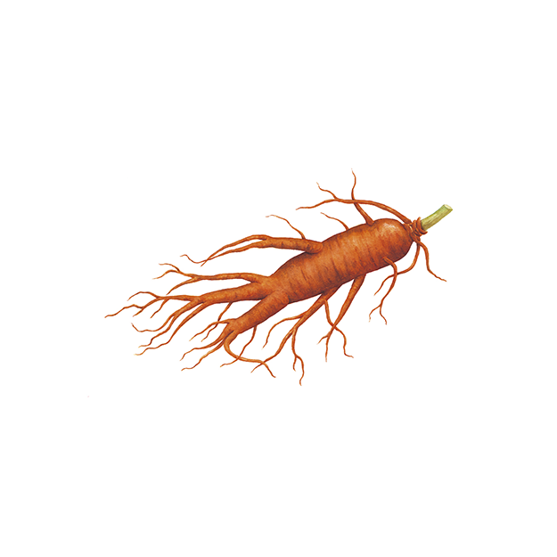 Red ginseng extract