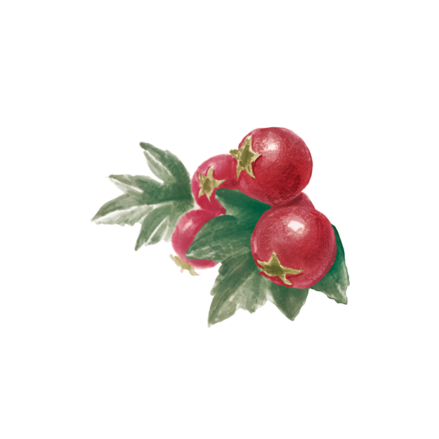 Hawthorn berry extract