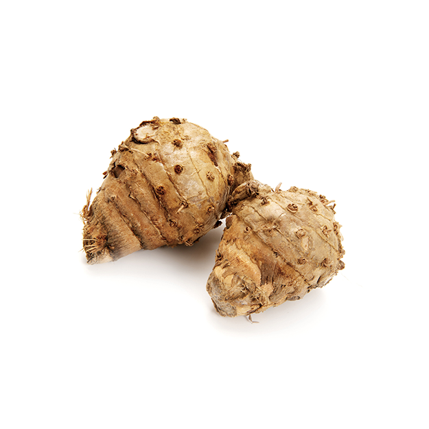 Zedoary Rhizome powder