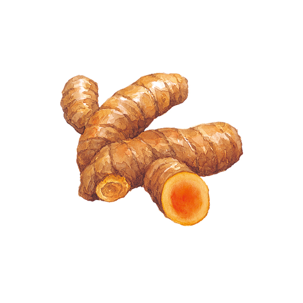 Turmeric extract