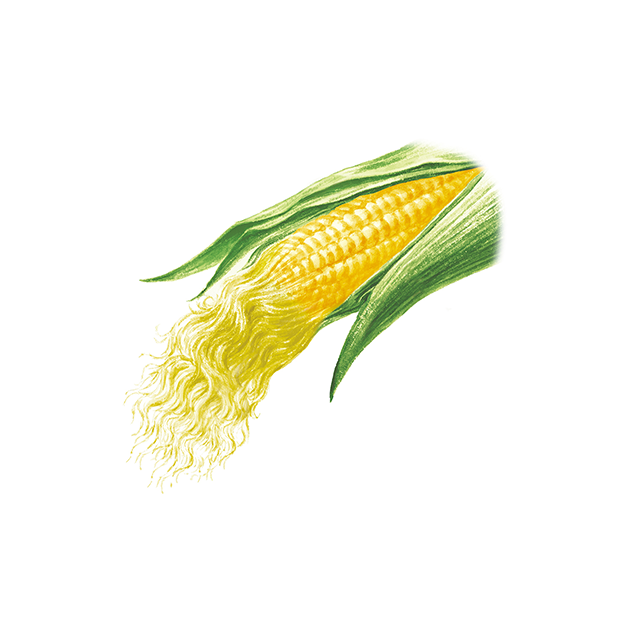 Corn silk extract