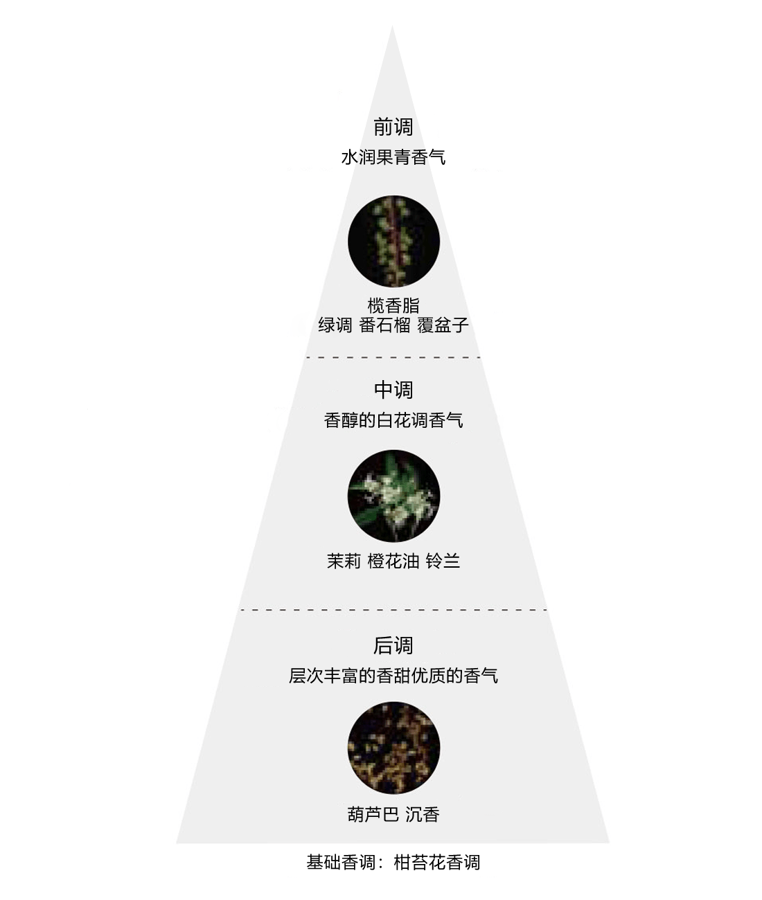 商品介绍