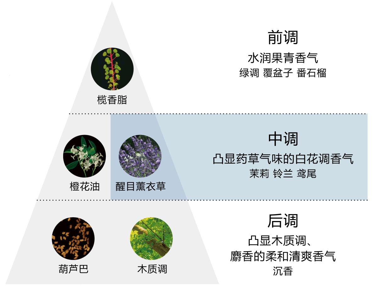 通过华丽而柔和的香气,将护理升华为呵护自己的美好时光