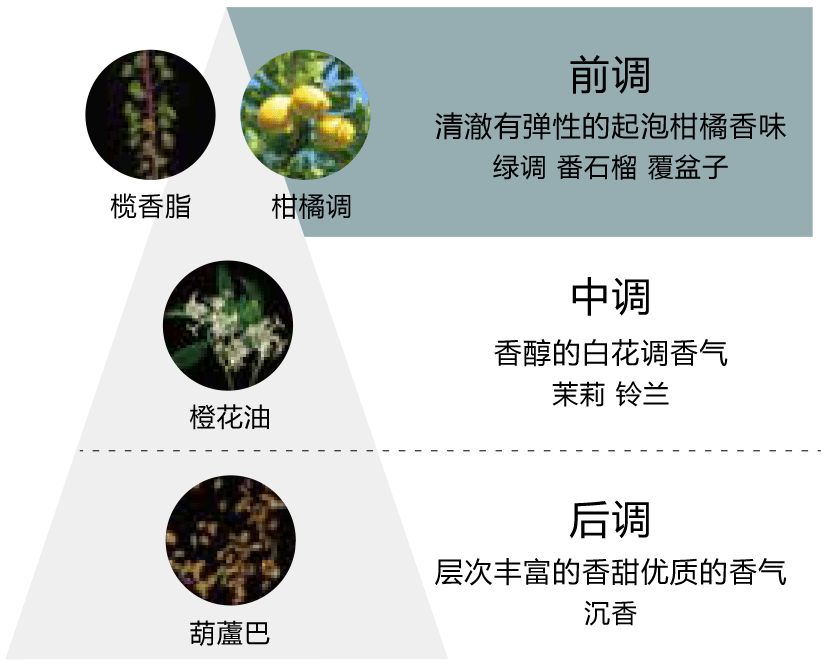 通过华丽的香气,将护理升华为呵护自己的美好时光