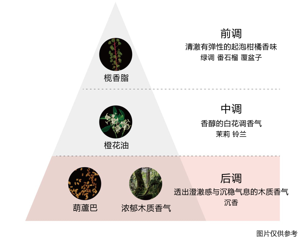 通过华丽而令人安心的的香气,将护理升华为呵护自己的美好时光