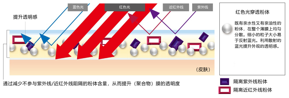 添加了“光紧致膜配方”,在紫外线照射下能提升薄膜的弹性。