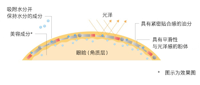 绿洲基底的特点