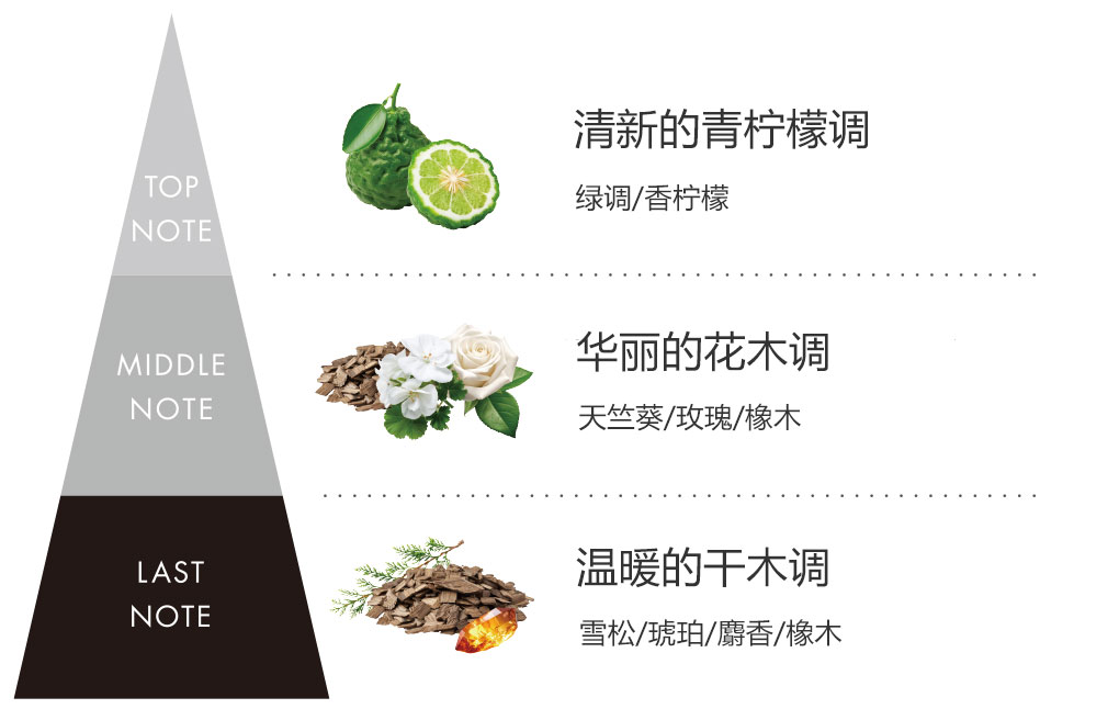 感性科学构想。在清新的青柠檬调中,加入了基础香料橡木调的香气。